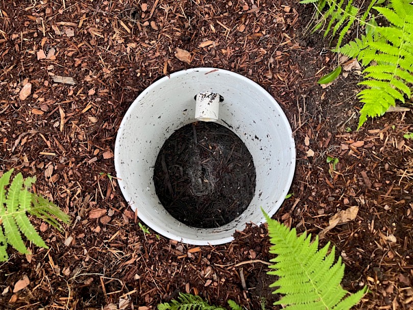 Completed greywater system mulch basin housing with cover removed