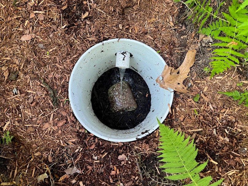 Mulch shield with splash block